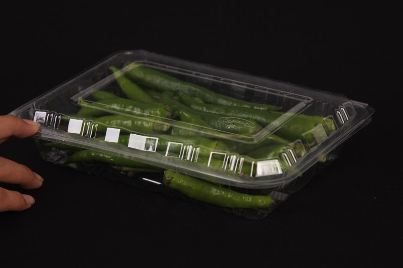 Transparent Plastic Clamshell Packaging Food Grade