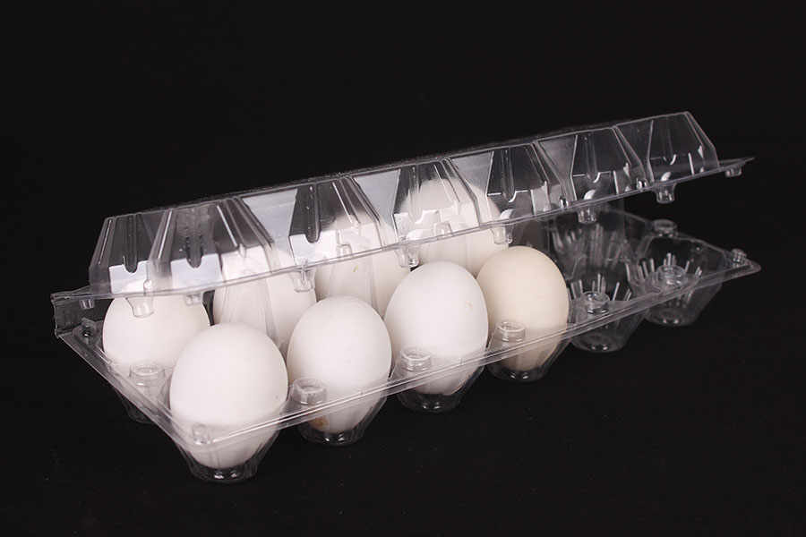 2x6 PVC plastic egg carton