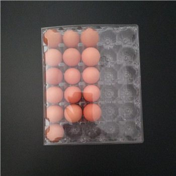 Custom 30 Holes clear transparent plastic egg cartons factory