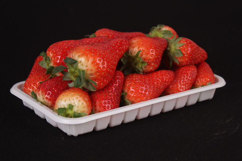 fruit plastic packing trays