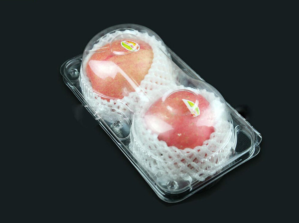 Clear Plastic Fruit Container Box