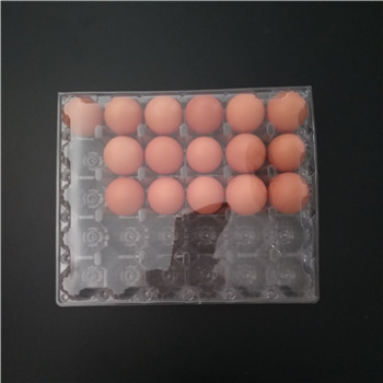 plastic egg cartons